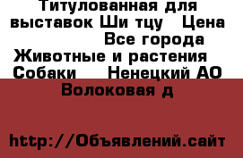 Титулованная для выставок Ши-тцу › Цена ­ 100 000 - Все города Животные и растения » Собаки   . Ненецкий АО,Волоковая д.